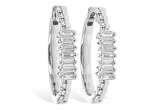 G319-04979: EARR .20 TW BAGUETTES